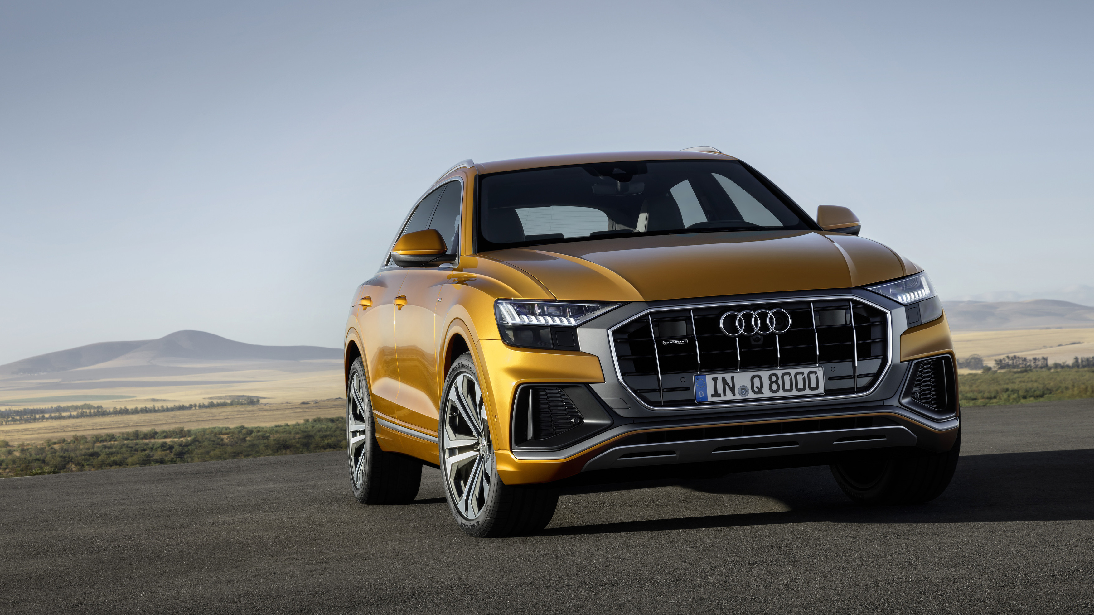 A186314_medium Audi a prezentat noul Q8