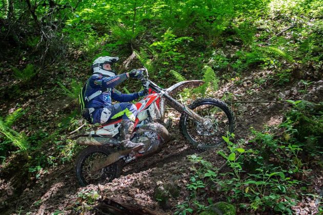 60347354_2266901483347919_3920216195239772160_n-630x420 Sebis Enduro Challenge, noi provocari